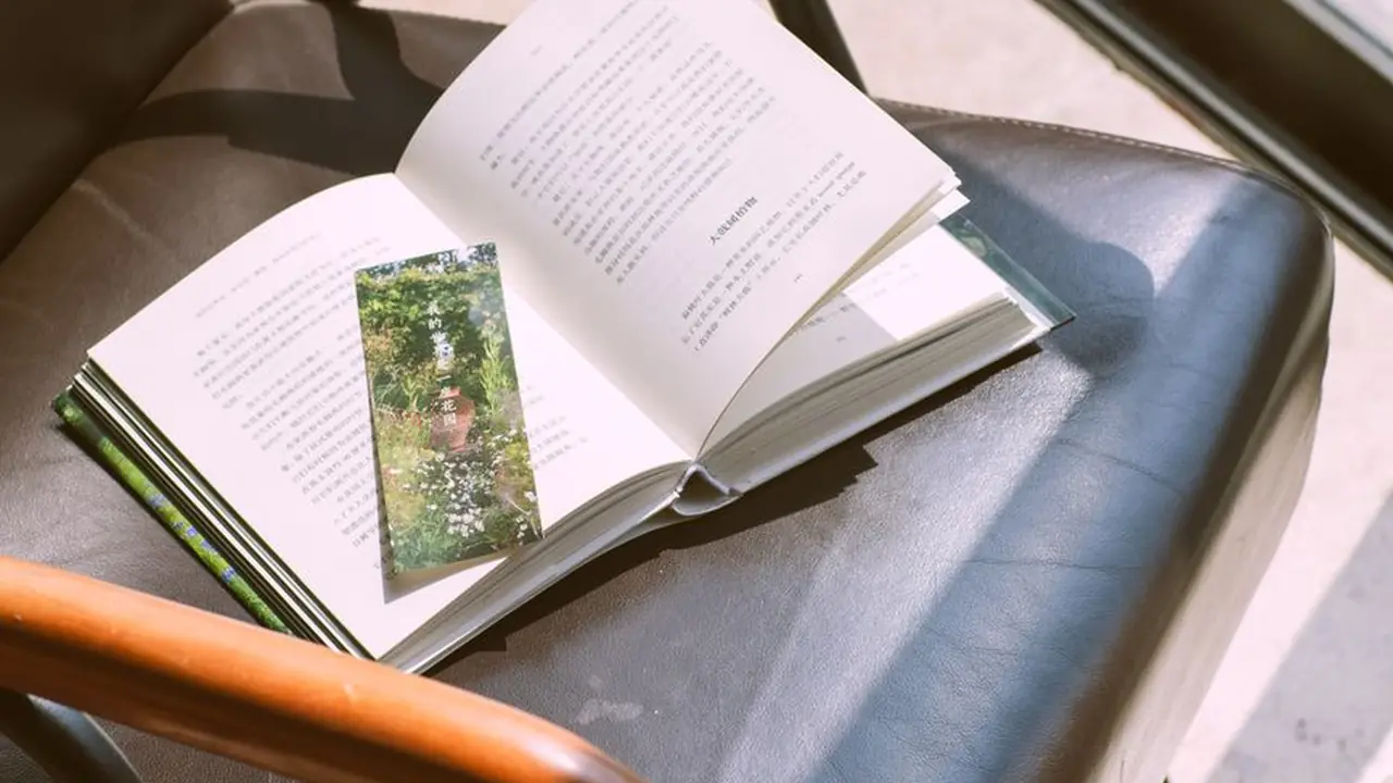 小马拉大车吃童子鸡蘑菇观看的奇妙体验
