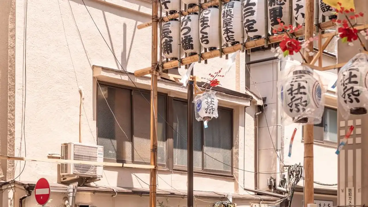 大雷vlog截图4